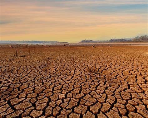 Effects Of Drought On Agriculture