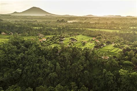 Keliki Village Ubud Walk | Best Experiences near Ubud, Bali | Walk Into Luxury