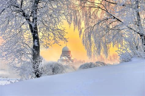 Winter, St. Petersburg, Russia, Snow, Trees, HD Wallpaper | Rare Gallery