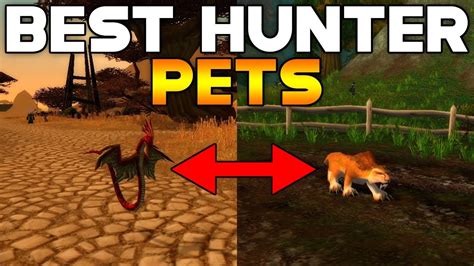 SoD BEST HUNTER PETS - World of Warcraft Classic - YouTube