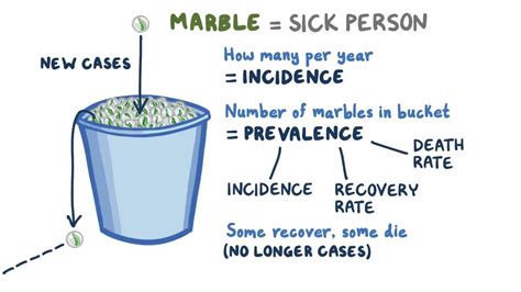 Incidence and prevalence: Video, Anatomy & Definition | Osmosis