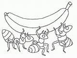 Explore The World Of Ants With Ant Coloring Pages sketch template