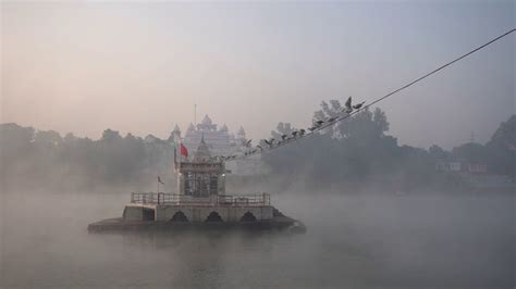 Birding at Gwarighat in Jabalpur City of Madhya Pradesh. Here Seagulls spends 3-4 months, during ...