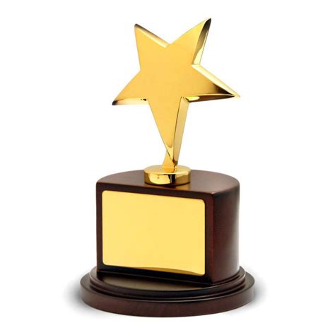 Star Awards Trophy - Buy Decade Awards Star Trophy Gold Star Award ...