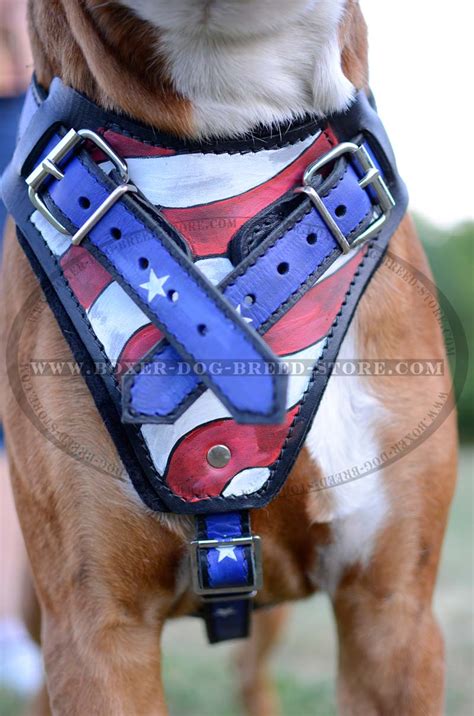 Hand Painted Leather Boxer 【Harness】 for Attack/Agitation Training : Boxer Breed: Dog harness ...