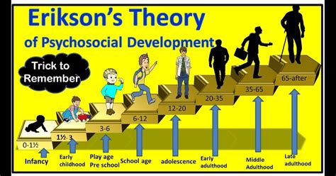 Erikson S 8 Stages