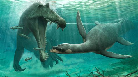 Scientists make discovery on dinosaur some believe to be related to the Loch Ness Monster