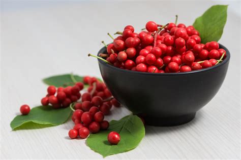 Schisandra Berry Benefits | What is Schisandra