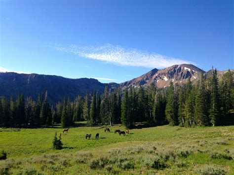 A True Hidden Gem, The Incredibly Remote Jarbidge Wilderness Is Perfect For Nevada Nature Lovers ...