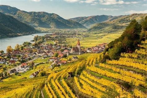 Best Austrian wine: eight award-winning Austrian wines to try