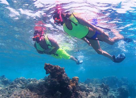 Key West Snorkeling | Visit The Coral Reef by Catamaran