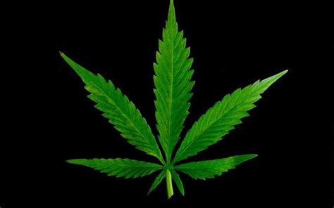 Ganja Wallpapers - Top Free Ganja Backgrounds - WallpaperAccess