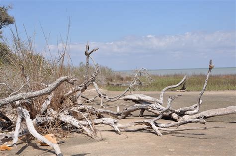 Aransas Pass Wildlife Refuge | Richard Moore | Flickr