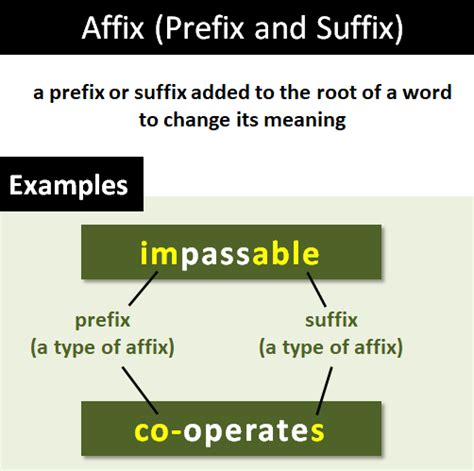 What Are Affixes? Definition, Examples And Types, 44% OFF