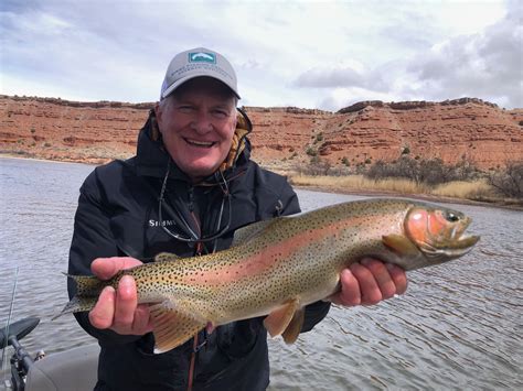 Guided fly fishing trips North Platte River Wyoming - Trout Trickers | Vail, Colorado & Wyoming ...