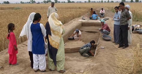 Over 4,000 Years Ago, the Indus Grew Rice and Used Crop Rotation - New ...