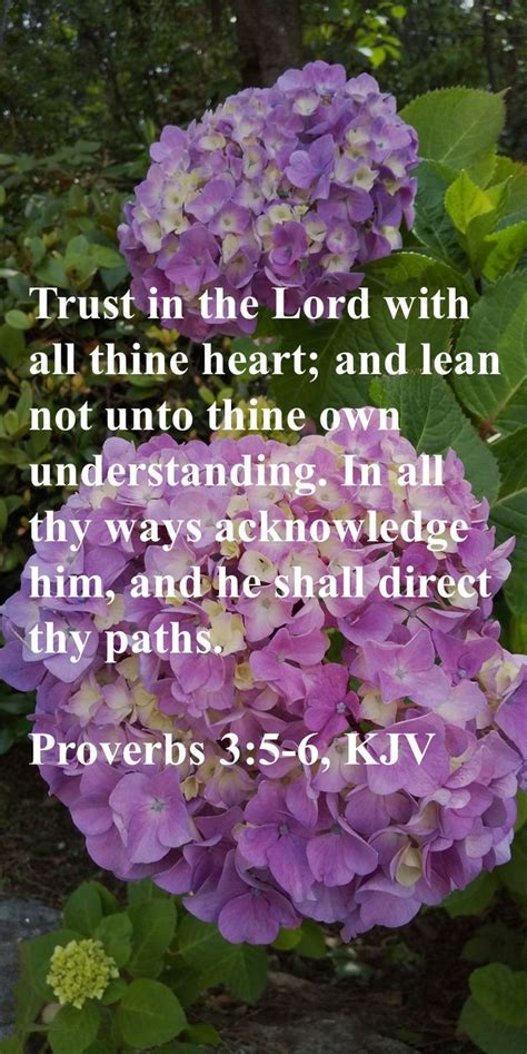 Trust in the Lord and Find Guidance