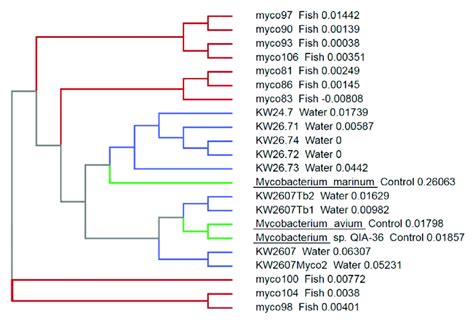 Phylogenetic tree constructed by ClustalW analysis of the 16S rRNA... | Download Scientific Diagram