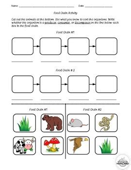 Food Chain Activity by Intervention Inventions | TpT