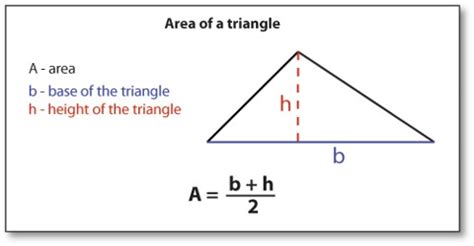 How to Calculate the Area of a Triangle? - Assignment Point