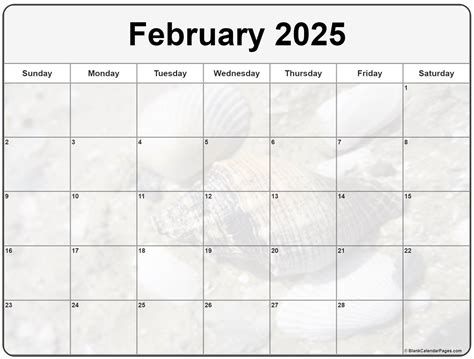 Collection of February 2025 photo calendars with image filters.