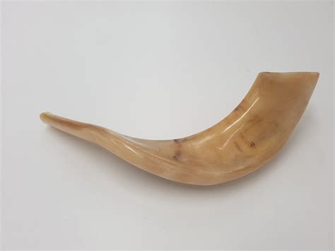 Ram Horn Shofar Trumpet From Israel Polished Koѕhеr - Etsy