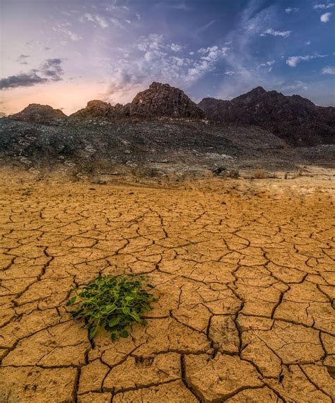 Life in dry land | Landscape photography, Landscape, Life