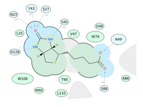 Molsoft L.L.C.: 2D Interaction Diagram