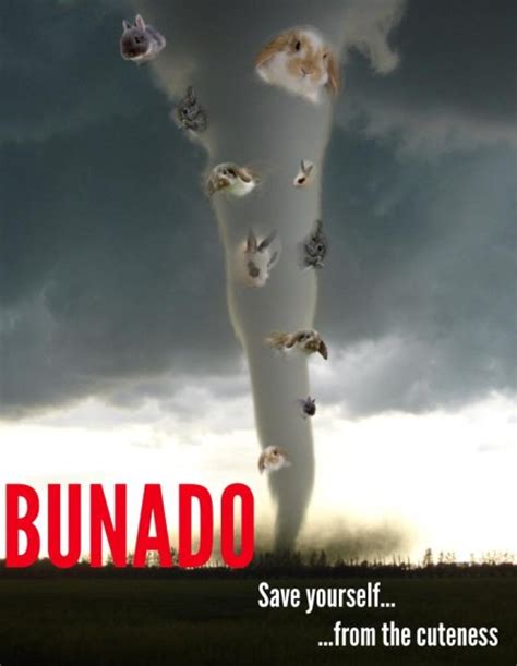 11 Hilarious Memes To Prepare for 'Sharknado 2'