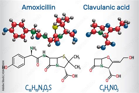 Amoxicillin and clavulanic acid drug molecule. Combination is an antibiotic useful for the ...