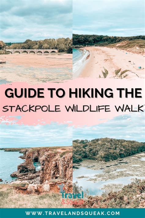 Detailed Guide to the Beautiful Stackpole Wildlife Walk, Pembrokeshire - Travel and Squeak