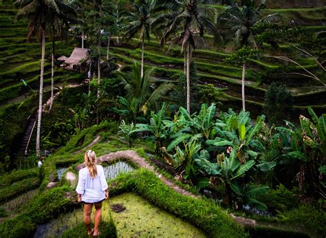 16 Best Things to do in Ubud, Bali