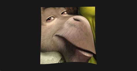 Donkey Staring Meme Shrek