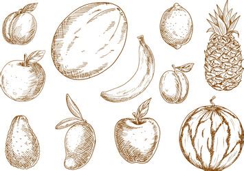 Organically Grown Vector Images (over 3,800)