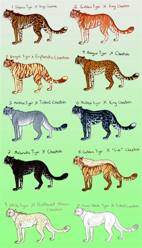 Tiger Cheetah Hybrid Adopts ($5 USD) [OPEN!] by JatoWhitz on DeviantArt