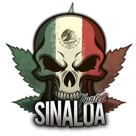 Ziele und Geschäfte :: Sinaloa-Cartel-Konzept