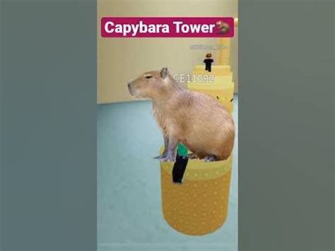 Capybara Tower?!?!🦫 #roblox #meme #capybara #okipullup #memes #obby #hopeyouenjoy #towerofhell ...