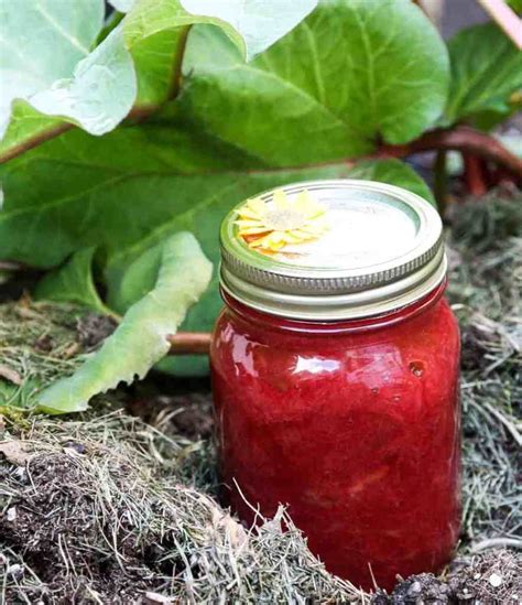 Simple Rhubarb Jam - Homemade Rhubarb Jam | The Food Blog