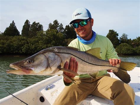 Snook | Reel Florida Fishing Charters