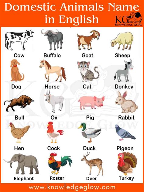 Animals Name: List of 100+ Names of Animals in English