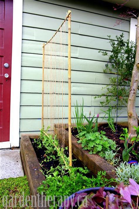 Making a Pea Trellis with Kids