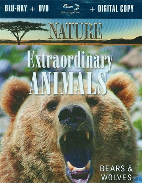 Nature: Extraordinary Animals - Bears & Wolves (Blu-ray ) | DVD Empire