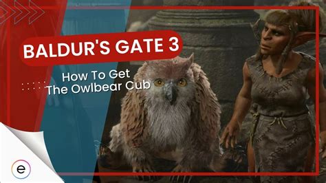 Baldur's Gate 3: How To Get The Owlbear Cub? - eXputer.com