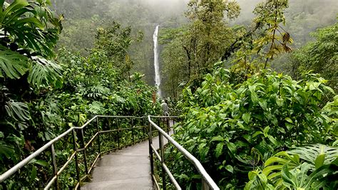 'Akaka Falls State Park On The Big Island Of Hawaii