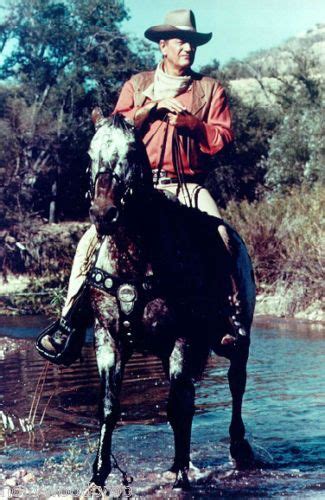 JOHN WAYNE EL DORADO HORSEBACK WESTERN COWBOY COLOR PHOTO POSTER PRINT ...