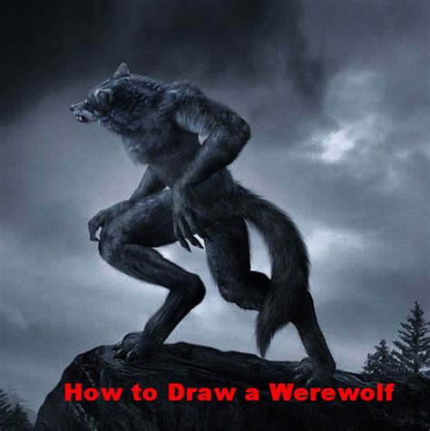 How to Draw a Werewolf Face