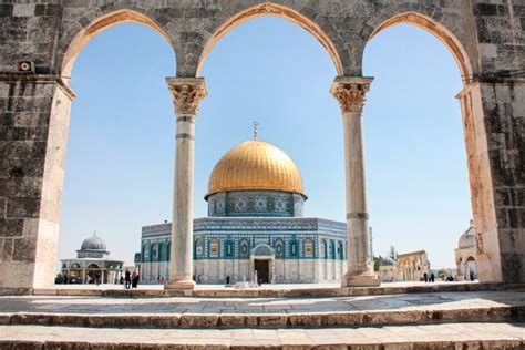 مشاهير ونجوم .. أحدها تسمَّى باسم المجاهدين المغاربة.. تعرّفوا على ...