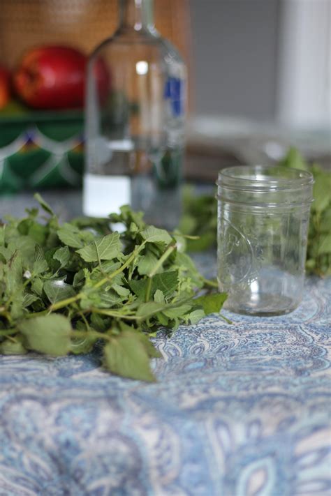 How to Make an Herbal Tincture | Hillsborough Homesteading