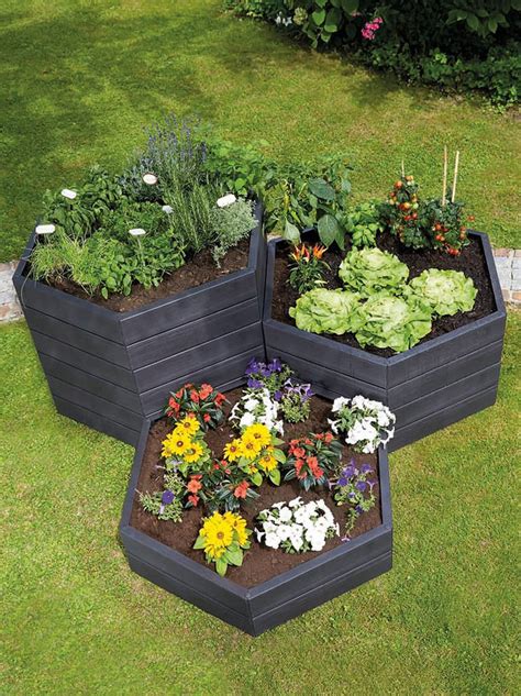 Exaco Modular Hexagon Raised Garden Bed Planter | The Green Head