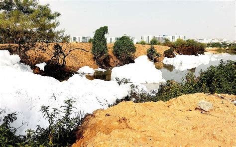 Bellandur lake: After 8 meetings, dept says rejuvenation of Bellandur Lake not likely before March